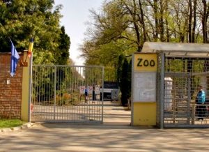 intrare-zoo-timisoara