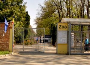 intrare-zoo-timisoara