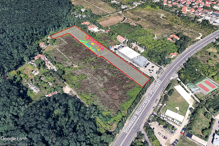 Fostul patron al retelei de cablu si televiziunii Analog din Timisoara